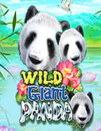 เกม แต่งตัว 18: จุดเด่นและเคล็ดลับในการเล่น